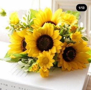 Meet your Posher, Rosa margarita